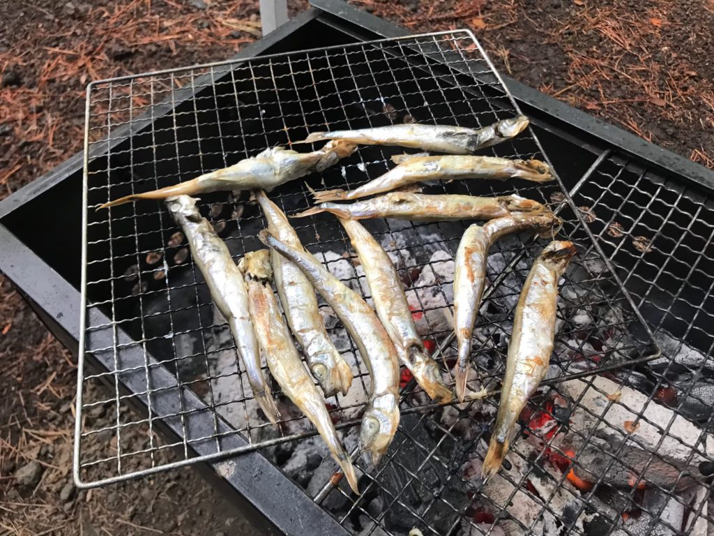河口湖オートキャンプ場！